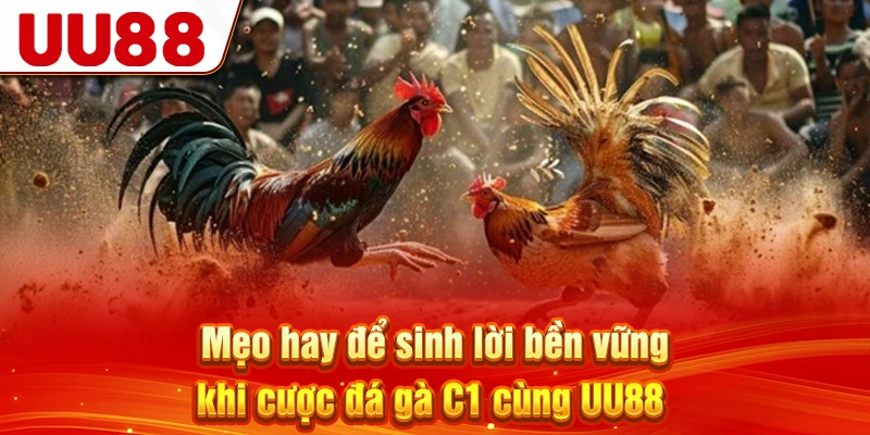 Mẹo hay để sinh lời bền vững khi cược đá gà C1 cùng UU88